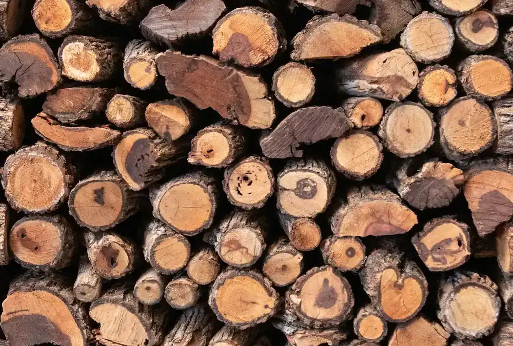 Why Mopane is the Ultimate Firewood