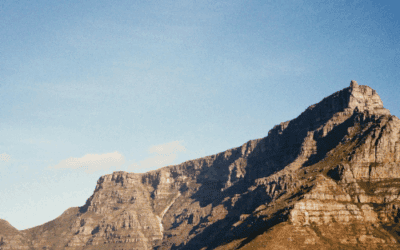 The Complete Guide to Premium Firewood in Cape Town