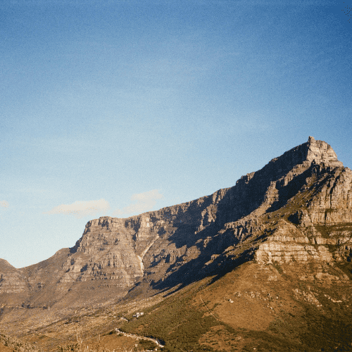The Complete Guide to Premium Firewood in Cape Town