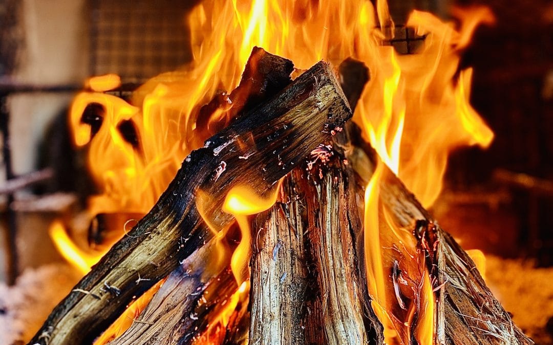 What Wood Burns the Longest?