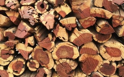 What are Namibian hardwoods and what makes them special?