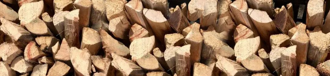 Clean fuel, clean conscience | Namibian Eco-logs