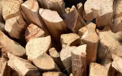 Clean fuel, clean conscience | Namibian Eco-logs