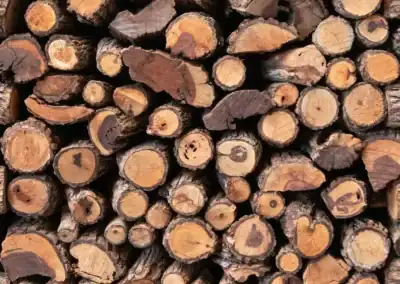 Mopane firewood