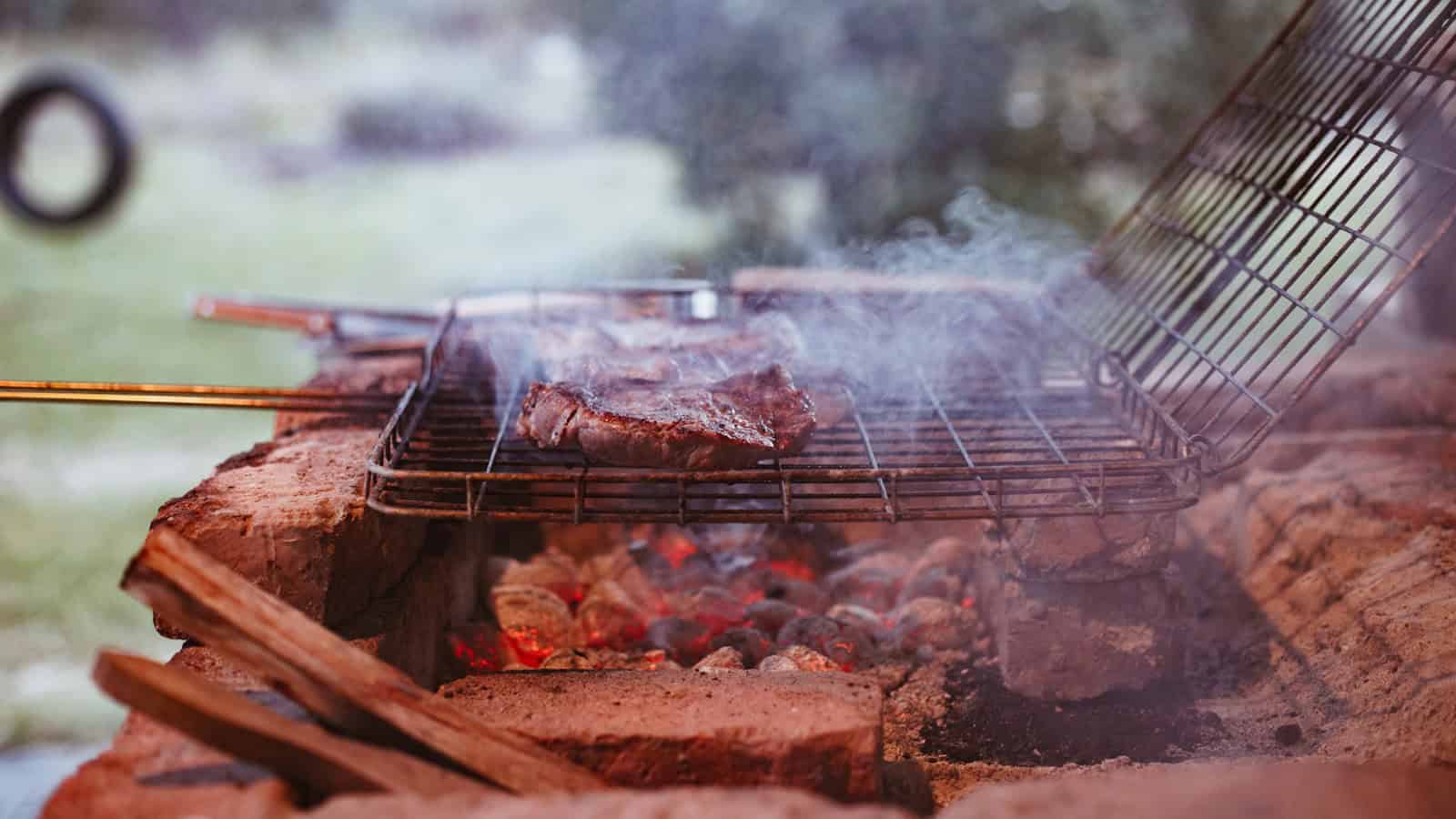 Chops on the grid over braai coals