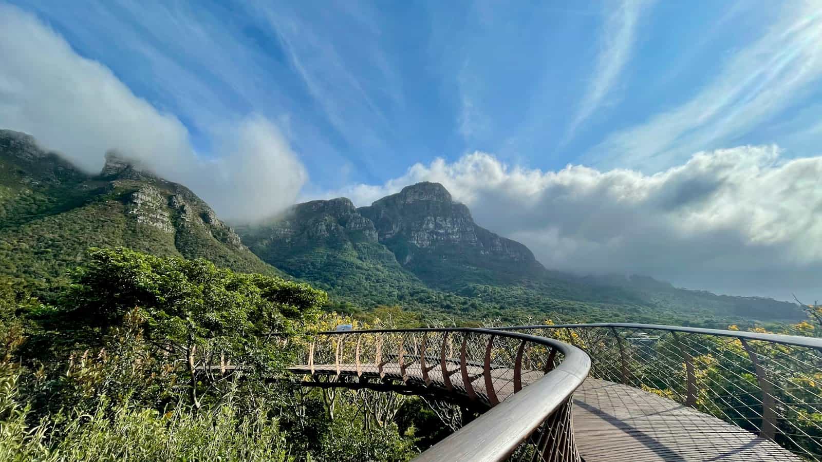 Kirstenbosch tree canopy walkway with the mountain behind, near Claremont