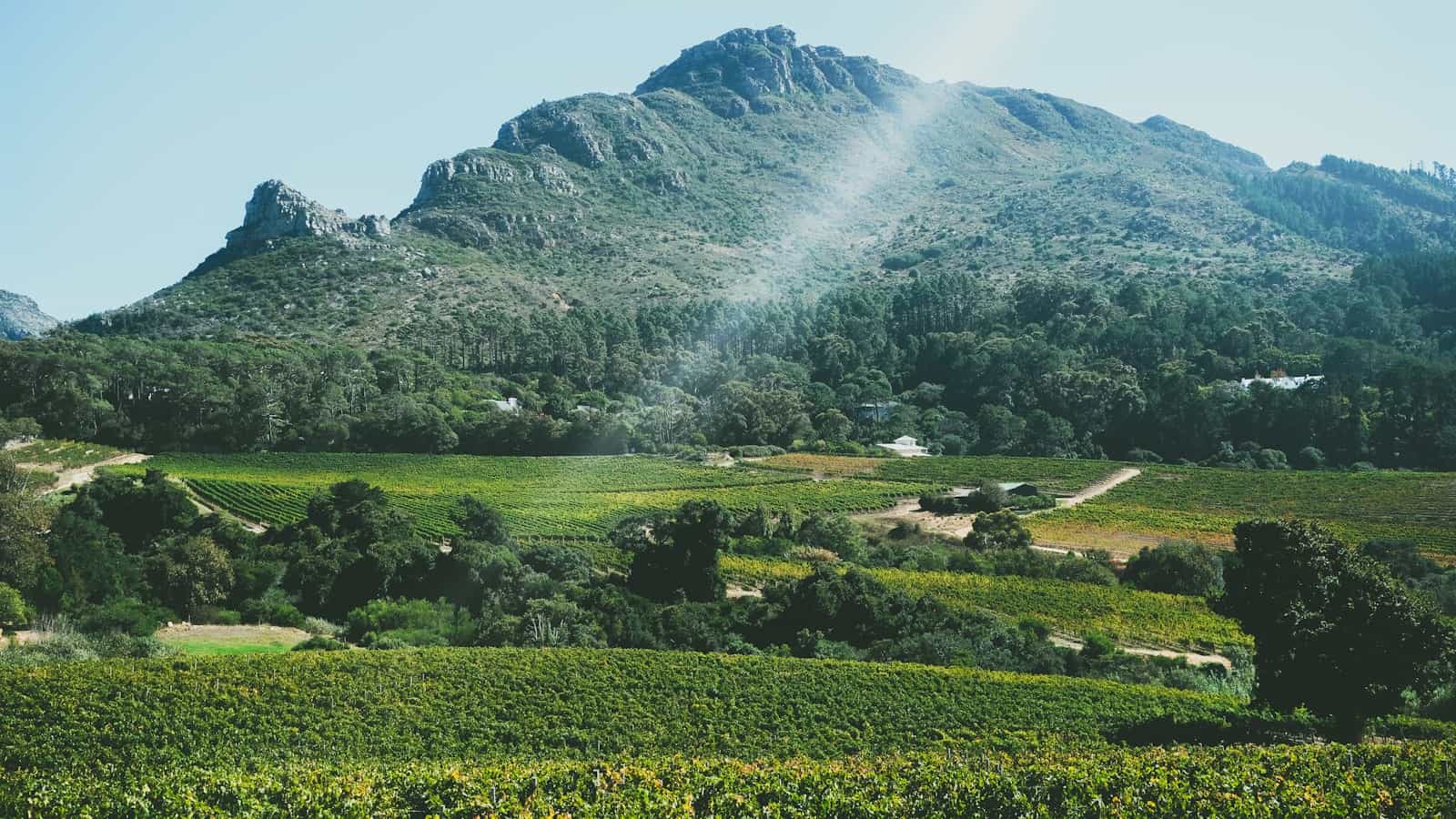 Durbanville wine valley vineyards below the hills