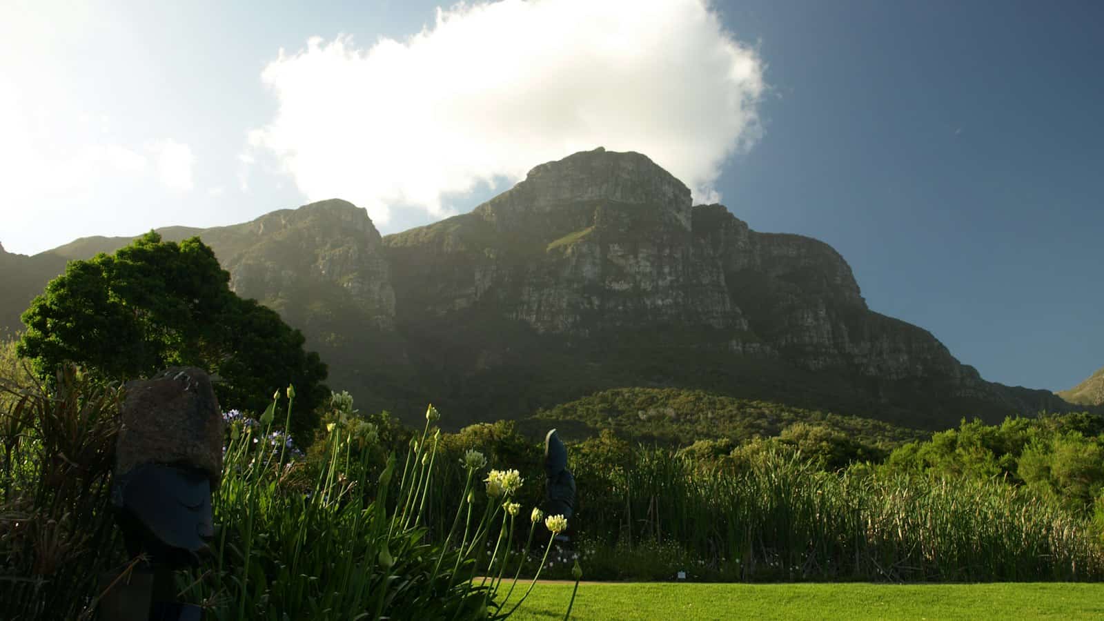Table Mountain from the Kirstenbosch lawns, Newlands