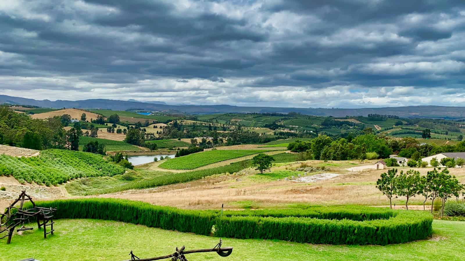 Rolling farmland and vineyards of the Northern Suburbs, Cape Town