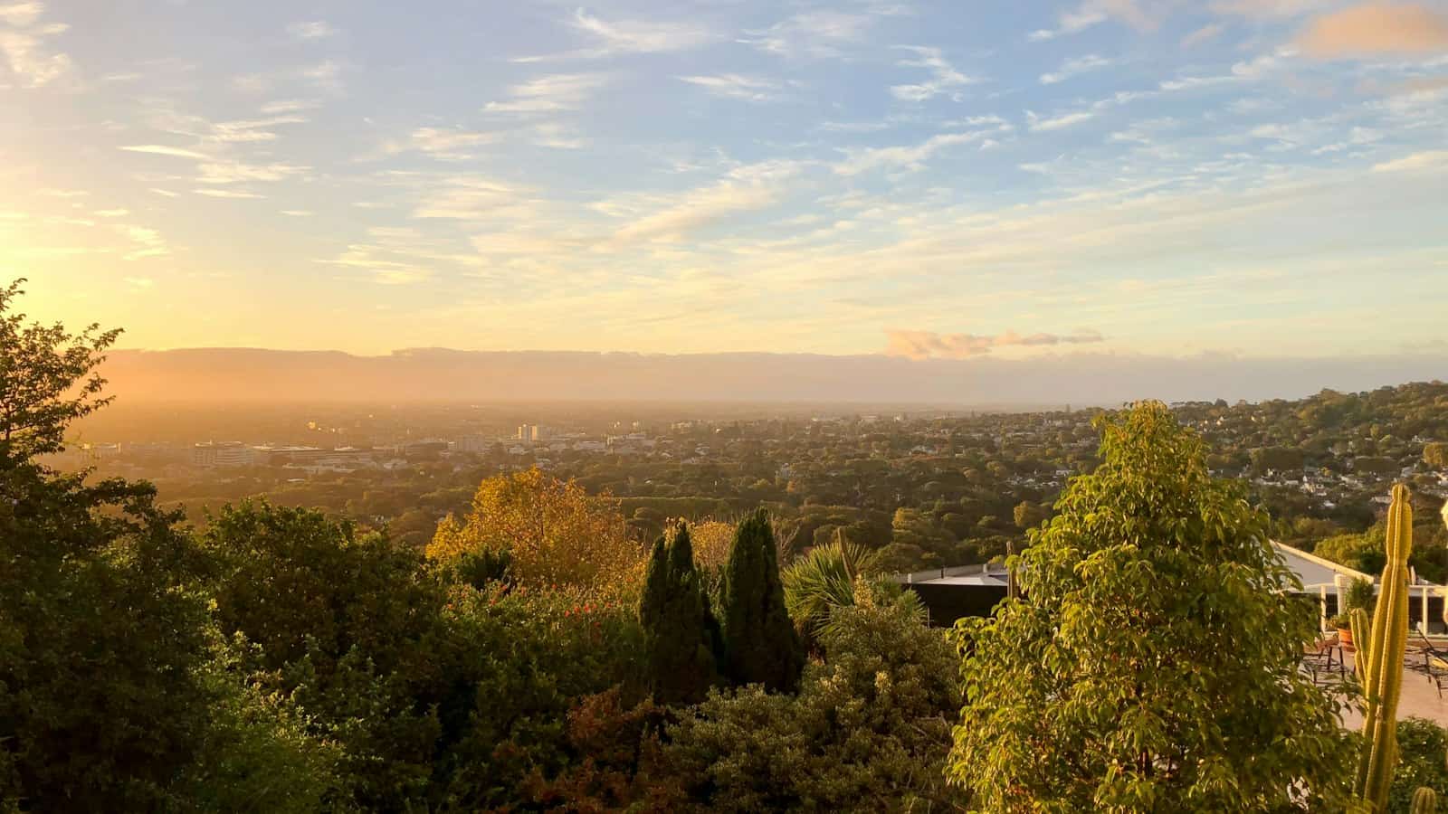 Tree-lined Southern Suburbs rooftops at dusk, Wynberg